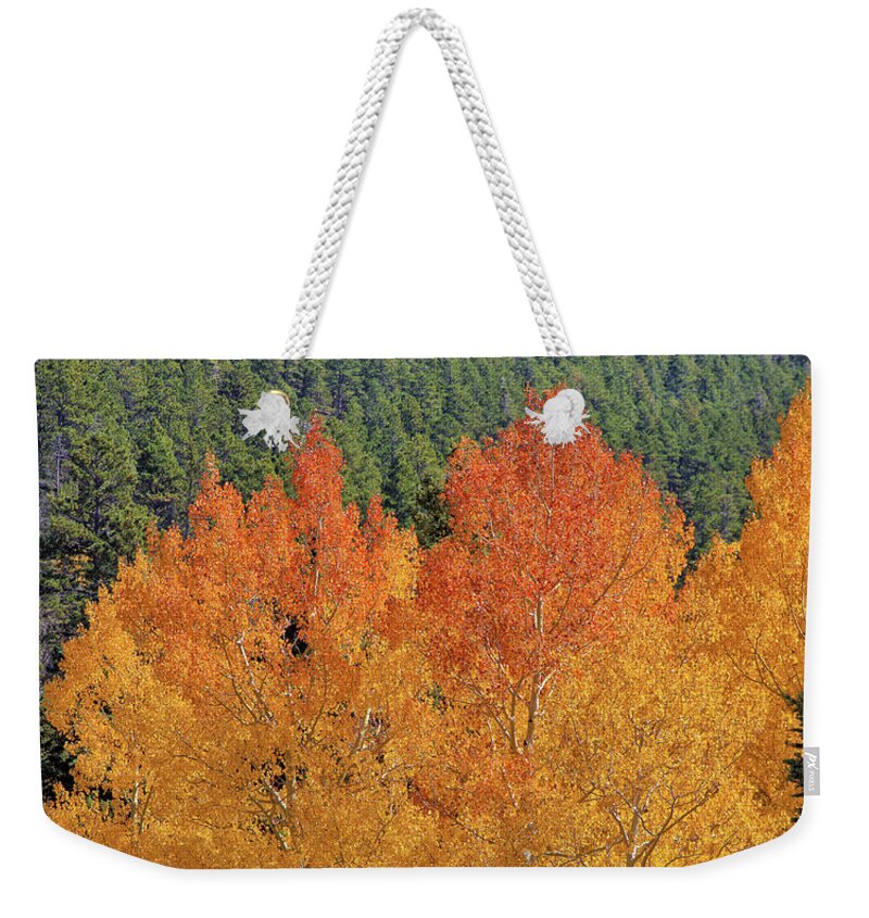 Colorado Weekender Tote Bag featuring the photograph Colorado Fall Colors by Bob Falcone