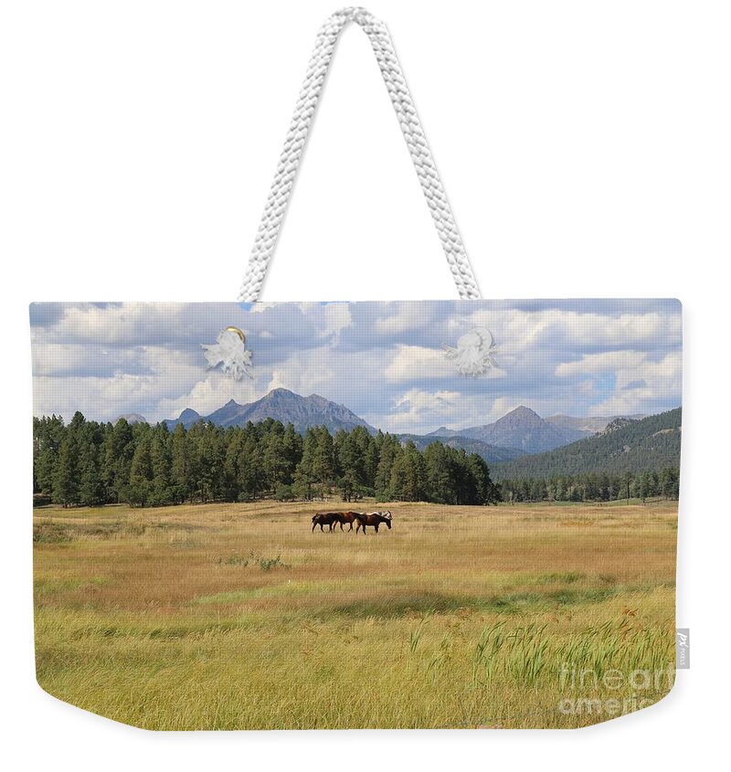 Horses Weekender Tote Bag featuring the photograph Colorado Horses by Veronica Batterson