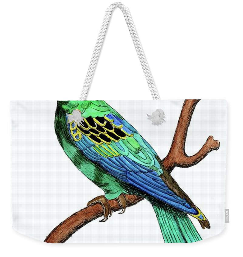 Parrot Weekender Tote Bag featuring the painting Colorful African Parrot Day 2 Challenge by Donna Mibus