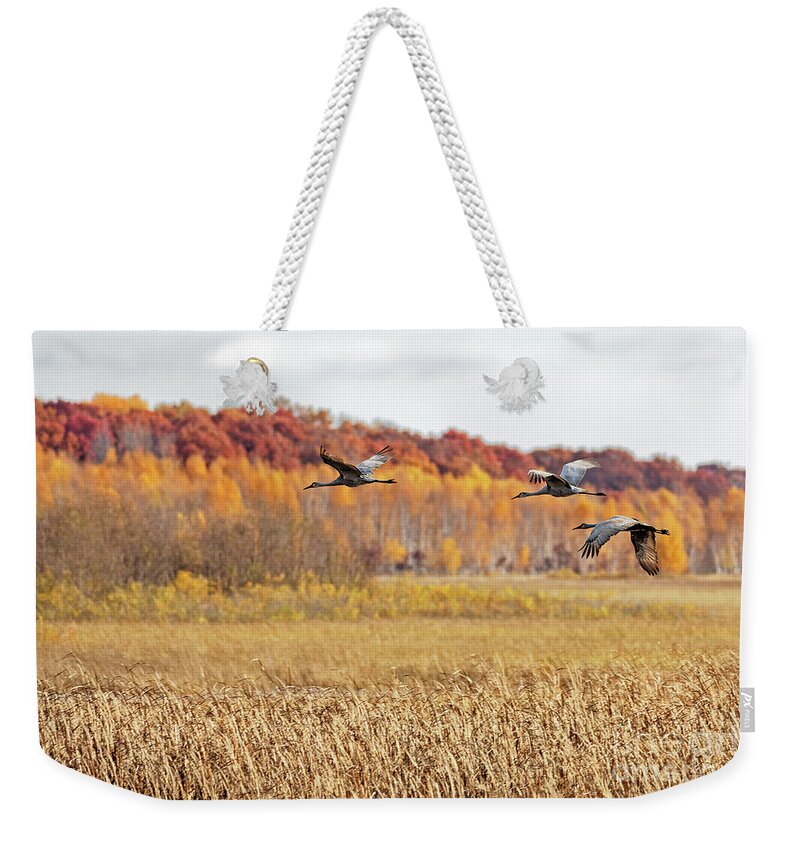 Sandhill Crane Weekender Tote Bag featuring the photograph Colorful Fall Migration in Crex Meadows by Natural Focal Point Photography