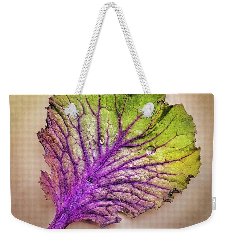 Leaf Weekender Tote Bag featuring the photograph Colorful Leaf by Gary Slawsky