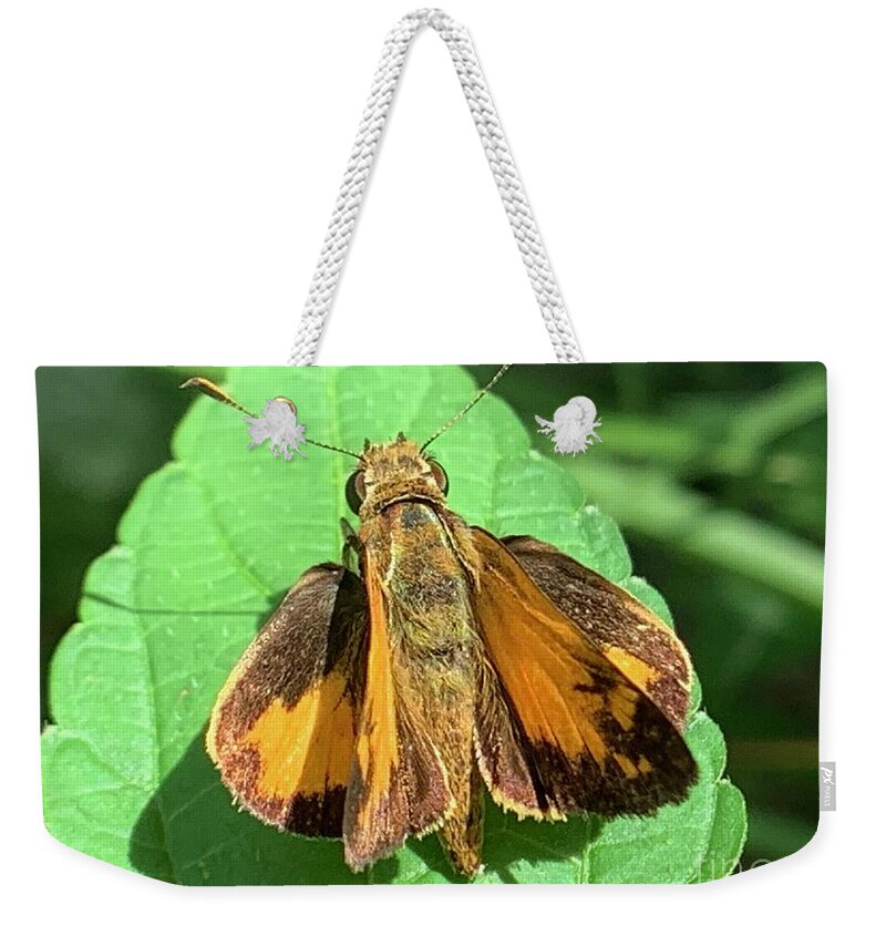 Skipper Weekender Tote Bag featuring the photograph Colorful Skipper by Catherine Wilson