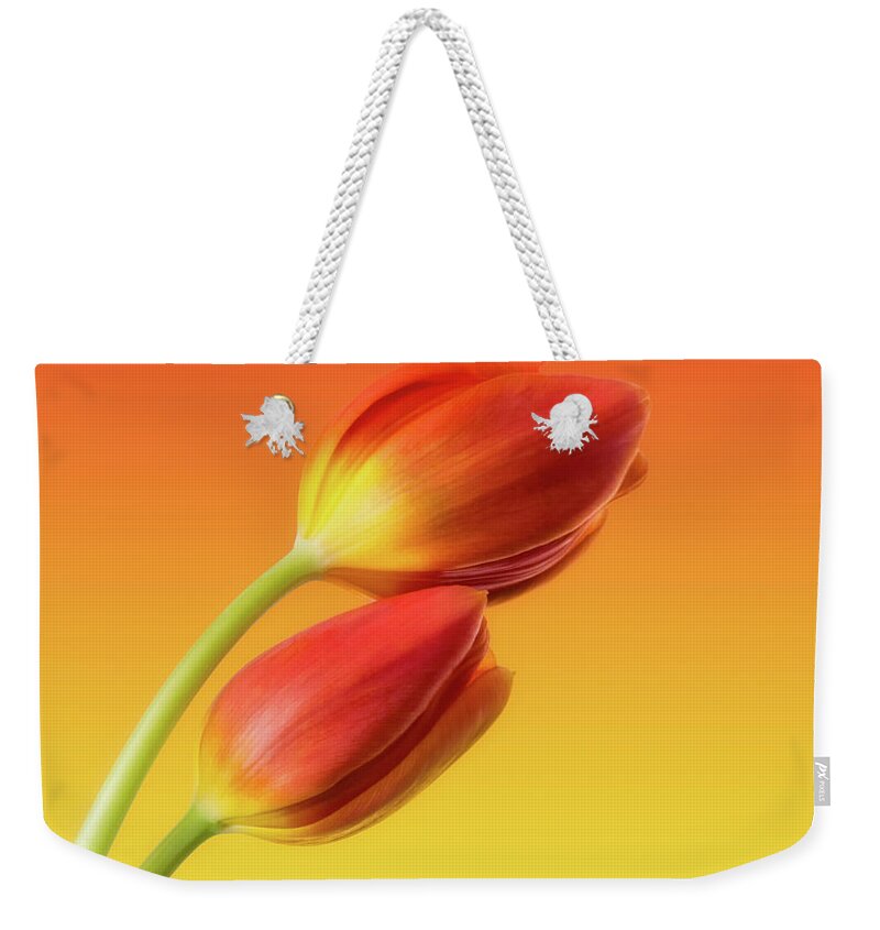 Tulips Weekender Tote Bag featuring the photograph Colorful Tulips by Wim Lanclus