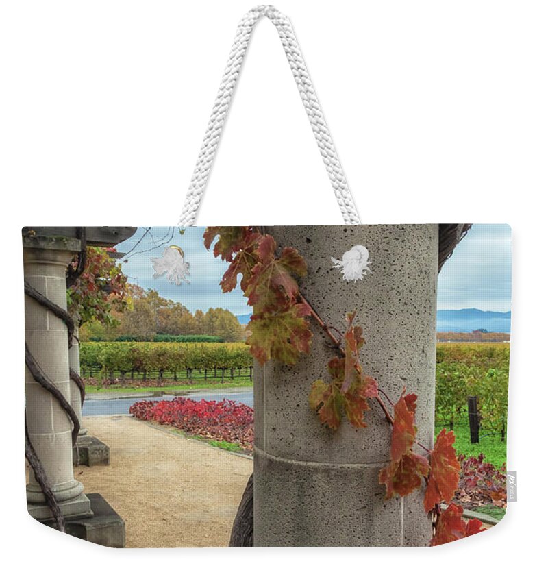Autumn Weekender Tote Bag featuring the photograph Columns With Grapevine by Jonathan Nguyen