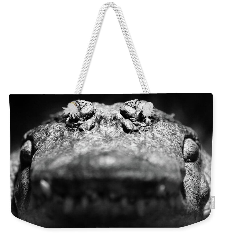 Reptile Weekender Tote Bag featuring the photograph Come A Little Closer by Lens Art Photography By Larry Trager