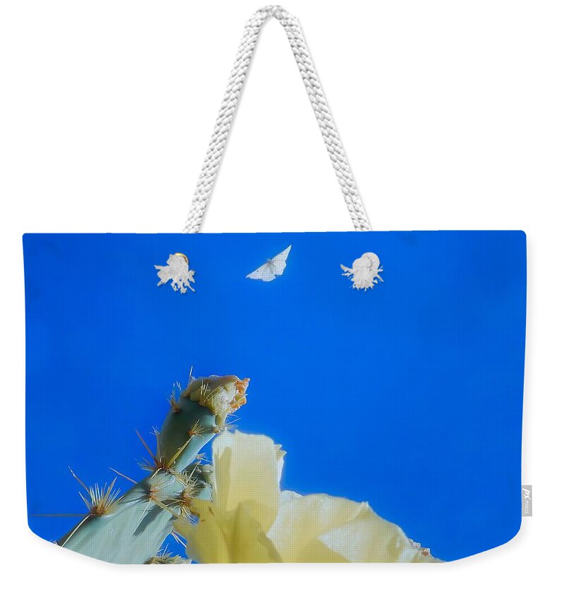 Prickly Pears Weekender Tote Bag featuring the photograph Come Back by Judy Kennedy