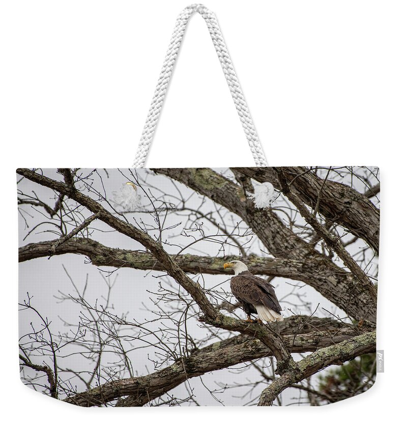 Bald Eagle Weekender Tote Bag featuring the photograph Commanding View of the Lake by Robert J Wagner
