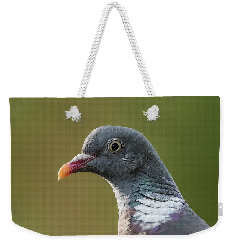 Common Wood Pigeon Weekender Tote Bag featuring the photograph Common Wood Pigeon s portrait by Torbjorn Swenelius