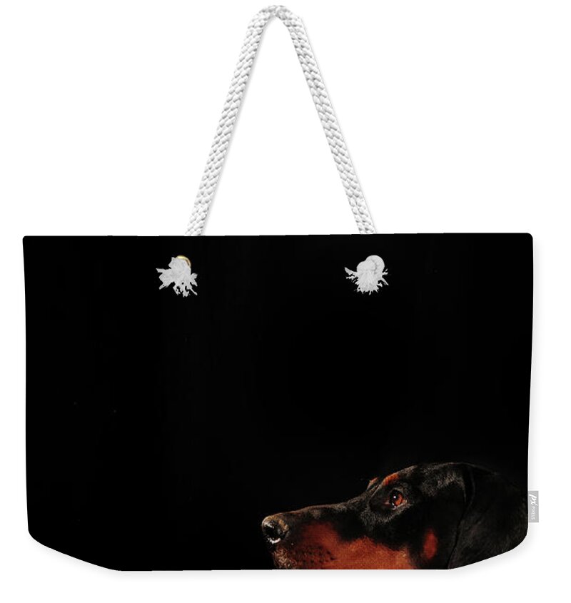 Black Weekender Tote Bag featuring the photograph Concentration by Randi Grace Nilsberg