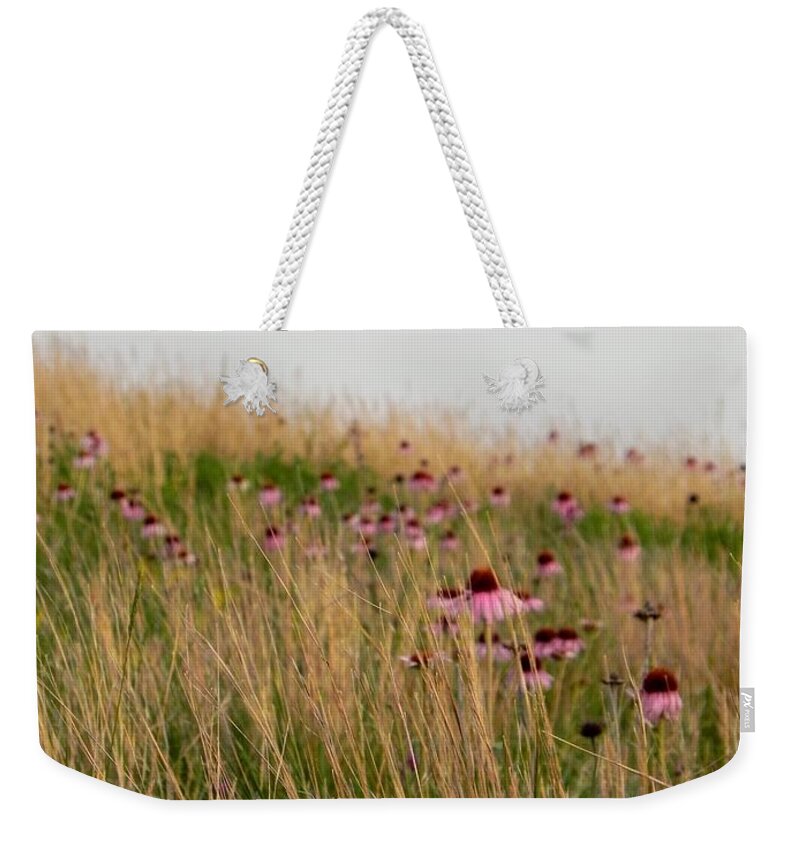 Purple Cone Flowers Weekender Tote Bag featuring the photograph Cone Flower Field by Amanda R Wright