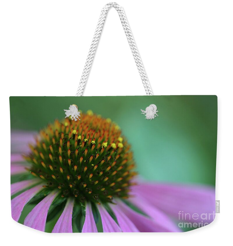 Coneflower; Echinacea; Flower; Blossom; Flower; Flowers; Petals; Close-up; Macro; Purple; Green; Violet; Dreamy; Horizontal; Garden; Spring Weekender Tote Bag featuring the photograph Coneflower Dream by Tina Uihlein