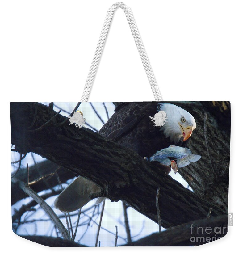 Conowingo Weekender Tote Bag featuring the photograph Conowingo Maryland Eagle Lunch by Adam Jewell