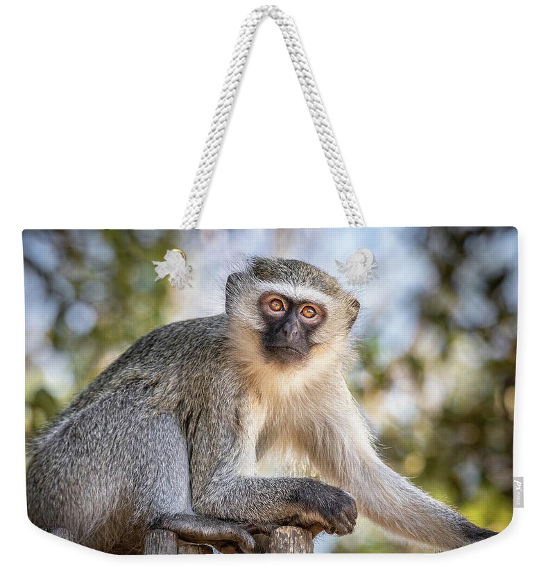 Monkey Weekender Tote Bag featuring the photograph Contemplating The Day Ahead by Elvira Peretsman