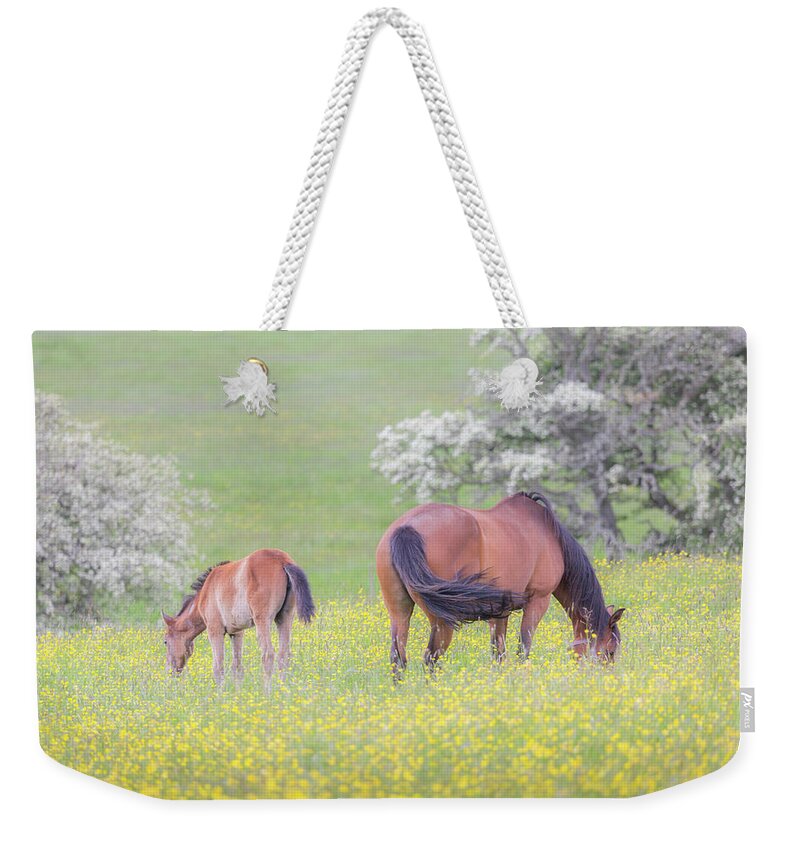 Horses Weekender Tote Bag featuring the photograph Contentment - Mare and Foal in a meadow by Anita Nicholson