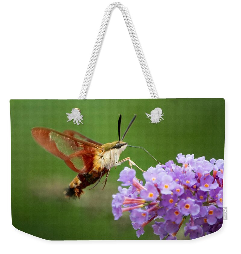 Hummingbird Moth Weekender Tote Bag featuring the photograph Cool Creature by Linda Bonaccorsi