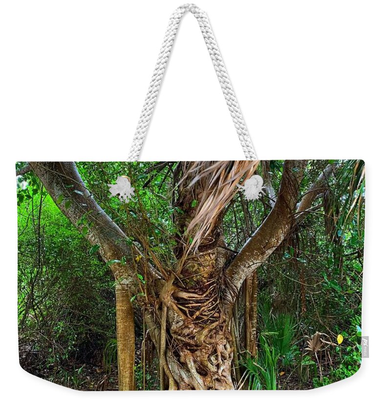 Tree Weekender Tote Bag featuring the photograph Cool Tree by Vicki Lewis