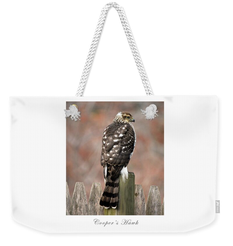 Bird Weekender Tote Bag featuring the photograph Cooper's Hawk by Dianne Morgado