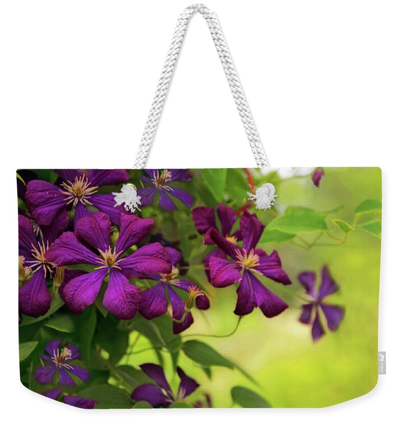 Clematis Weekender Tote Bag featuring the photograph Copious Clematis by Jessica Jenney
