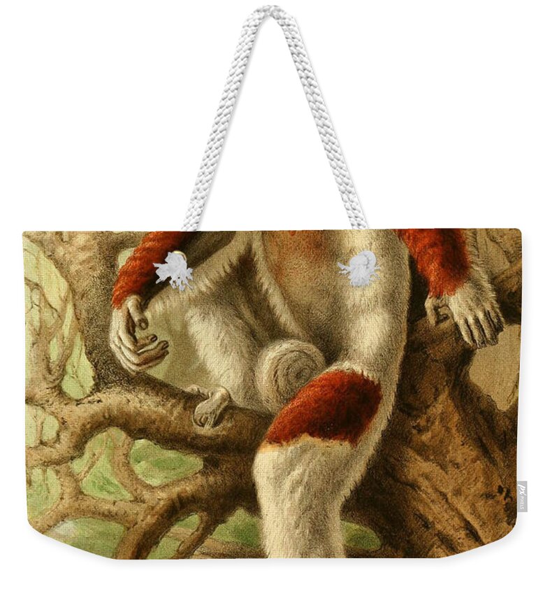 Zoological Weekender Tote Bag featuring the mixed media Coquerel's sifaka by World Art Collective