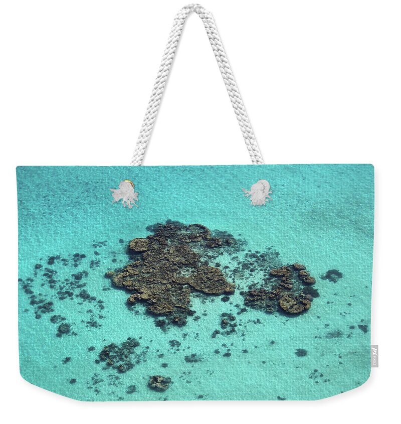 Turquoise Weekender Tote Bag featuring the photograph Coral bombies by Nicolas Lombard