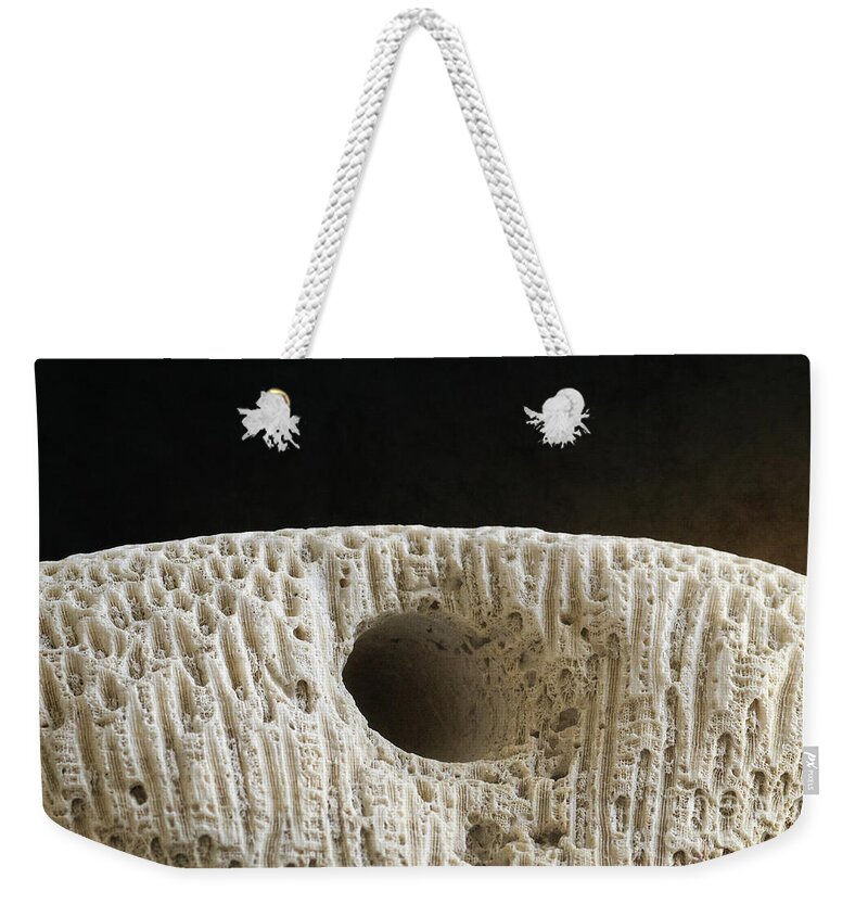 Coral Weekender Tote Bag featuring the photograph Coral Macro by Phil Perkins