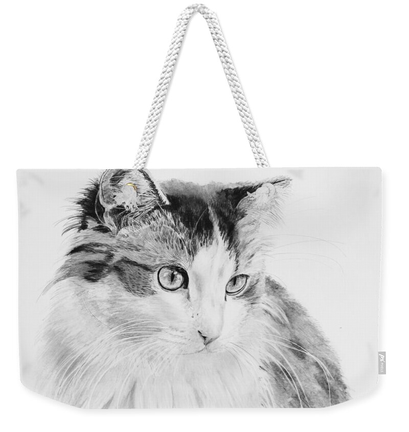Cat Weekender Tote Bag featuring the drawing Cordova by Gigi Dequanne