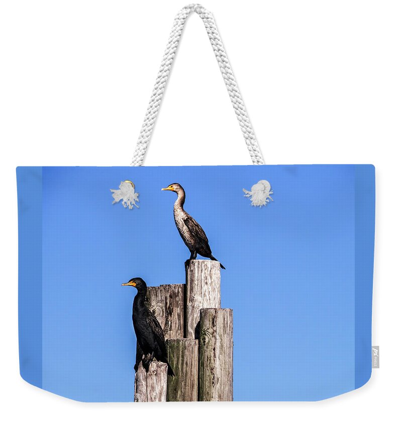 Alabama Weekender Tote Bag featuring the photograph Cormorants on a Piling at Pier by James C Richardson