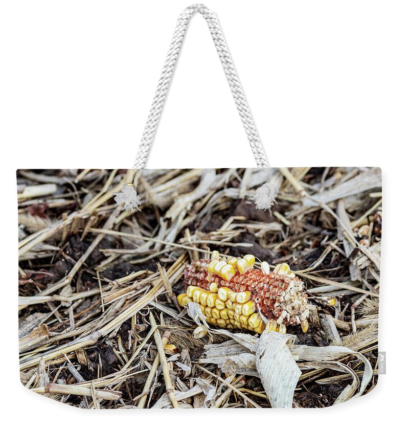 Corn Weekender Tote Bag featuring the photograph Corn in the Field by Amelia Pearn