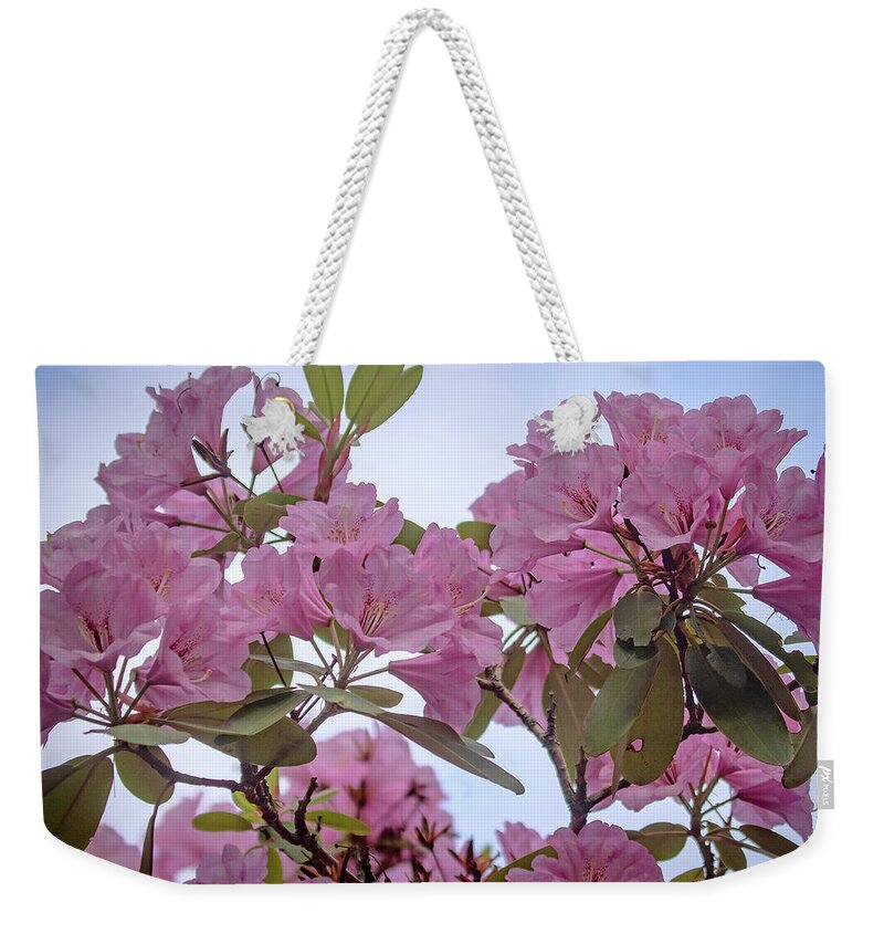 Rhododendron Weekender Tote Bag featuring the photograph Cornell Botanic Gardens #6 by Mindy Musick King