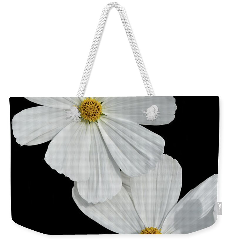 Flowers Weekender Tote Bag featuring the photograph Cosmos bipinnatus - White by Yvonne Johnstone