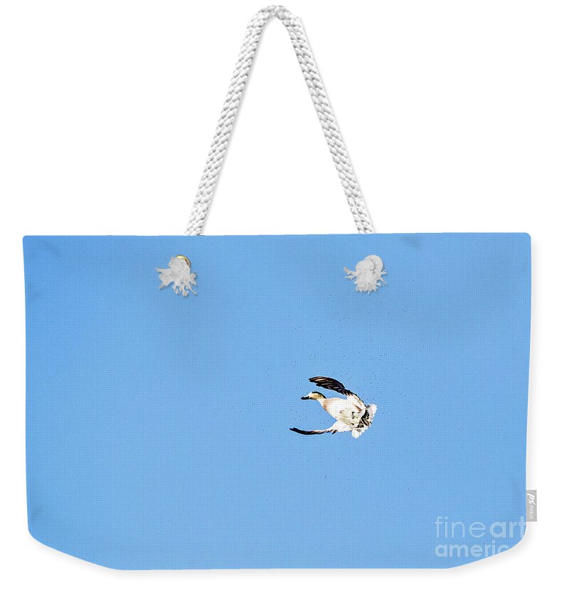 Nature Weekender Tote Bag featuring the photograph Covered Up by Scott Pellegrin