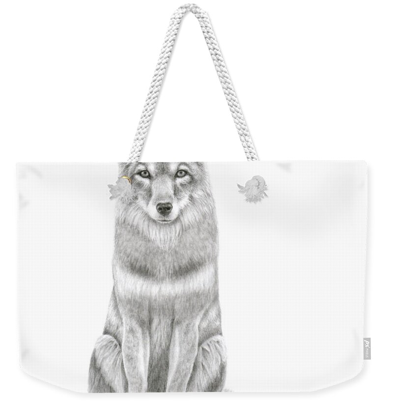 Coyote Weekender Tote Bag featuring the drawing Coyote by Monica Burnette