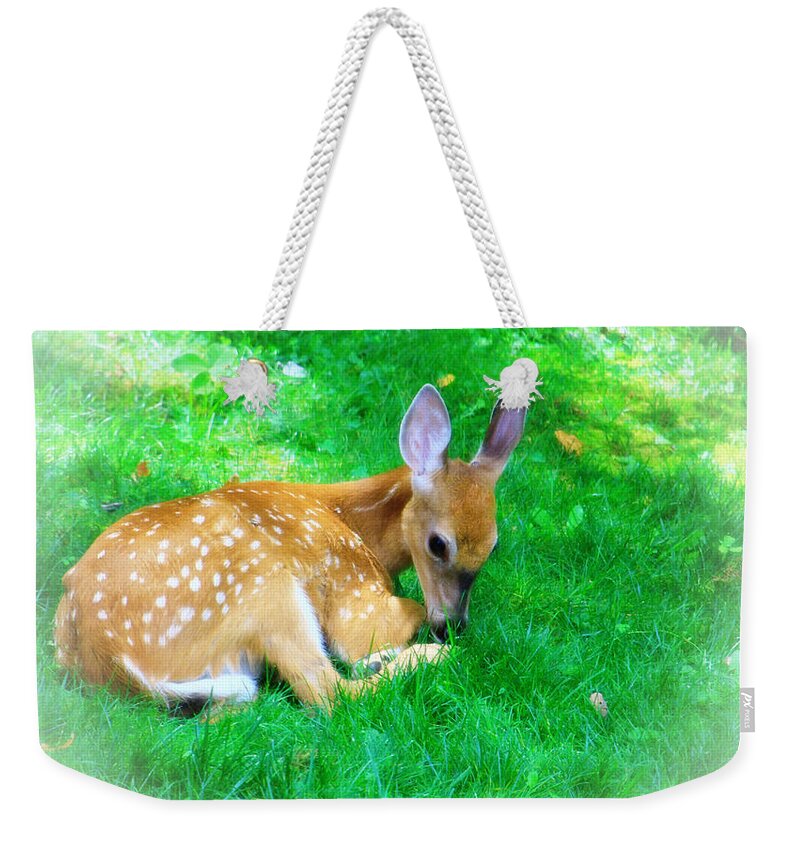 Nature Wildlife Fawn Weekender Tote Bag featuring the photograph Cozy Fawn by Mary Walchuck