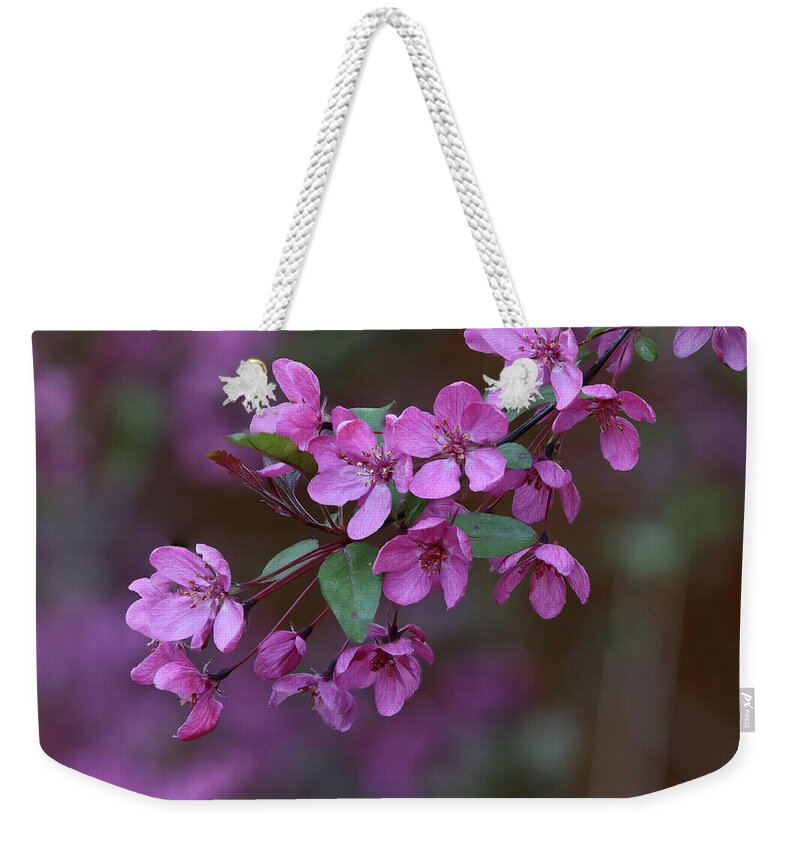Crab Apple Blossoms Weekender Tote Bag featuring the photograph Crab Apple Blossoms by Aashish Vaidya