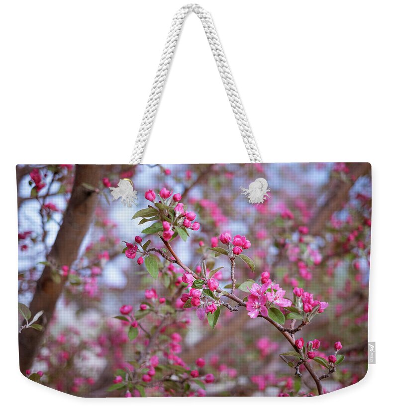Spring Weekender Tote Bag featuring the photograph Crabapple in Spring I by Mary Lee Dereske