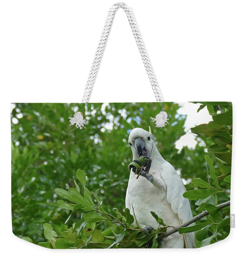 Birds Weekender Tote Bag featuring the photograph Cracking A Tough Nut by Maryse Jansen