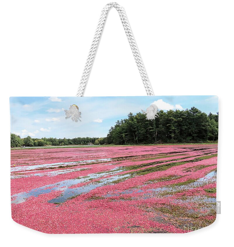 Cranberries Weekender Tote Bag featuring the photograph Cranberry bog Rochester Massachusetts by Janice Drew