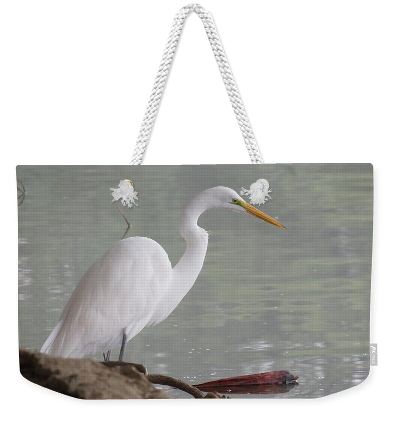  Weekender Tote Bag featuring the photograph Crane by Raymond Fernandez