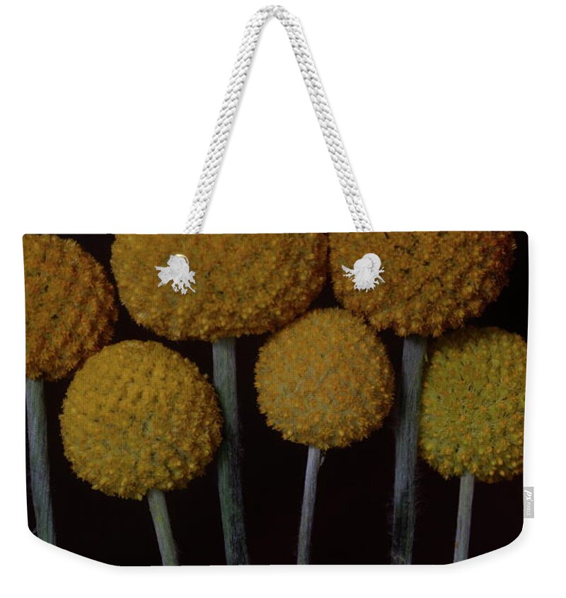 Macro Weekender Tote Bag featuring the photograph Craspedia 4268 by Julie Powell