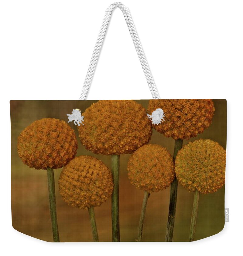 Botanical Weekender Tote Bag featuring the photograph Craspedia 4310 by Julie Powell