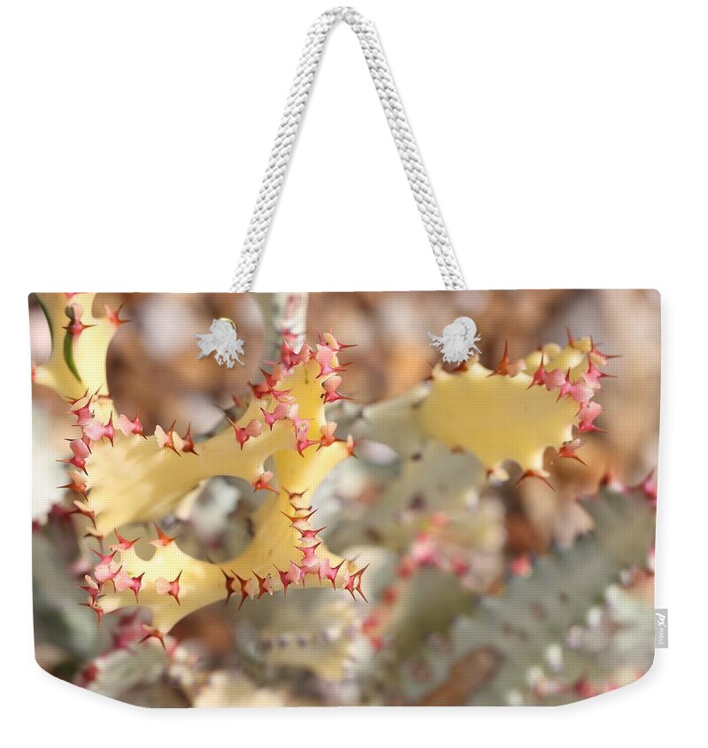 Crested Elkhorn Weekender Tote Bag featuring the photograph Crested Elkhorn by Mingming Jiang