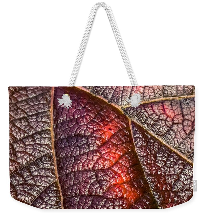 Autumn Leaves Weekender Tote Bag featuring the photograph Crimson Details by Cate Franklyn