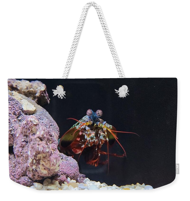 Crab Weekender Tote Bag featuring the pyrography Cross-eyed crab by Elena Pratt