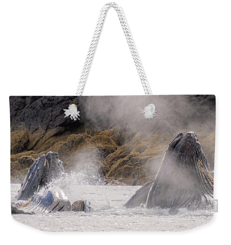 Whales Weekender Tote Bag featuring the photograph Cruising the Shoreline by Michael Rauwolf
