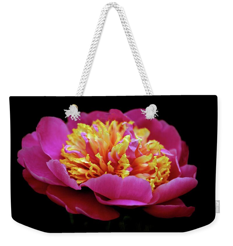 Peony Weekender Tote Bag featuring the photograph Cupcake by Jessica Jenney