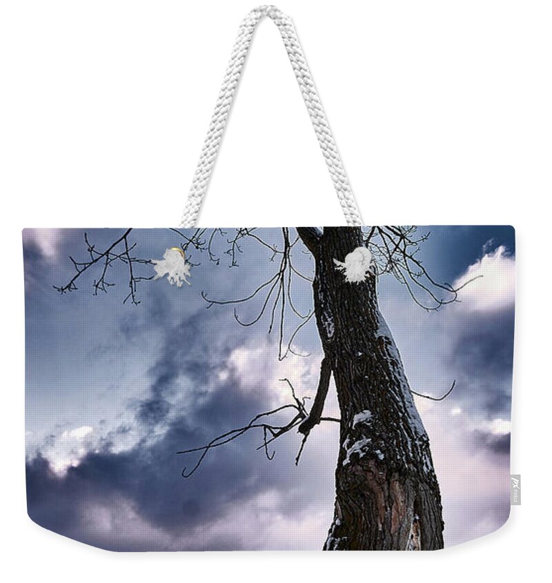 Tree Weekender Tote Bag featuring the photograph The Solo Curb Tree On The River by Carl Marceau