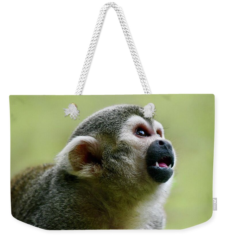 Monkey Weekender Tote Bag featuring the photograph Curious Squirrel Monkey by Richard Bryce and Family