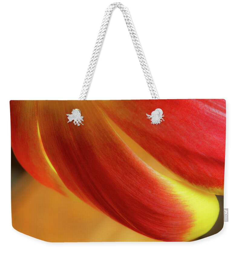Flower Weekender Tote Bag featuring the photograph Curves by Bob Cournoyer