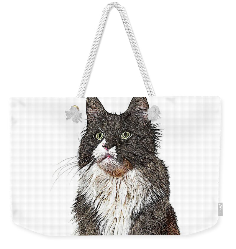 Maine Coon Weekender Tote Bag featuring the painting Cute and Cool, Maine Coon Cat by Custom Pet Portrait Art Studio