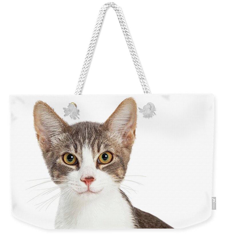 Cat Weekender Tote Bag featuring the photograph Cute Smiling Young Cat Closeup by Good Focused